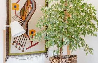 Little Trenant Barn on Helford River Near Constantine - Foto 23