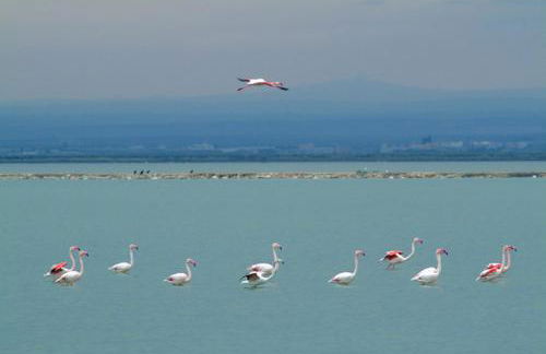 La Casa di Nonna Francesca - Foto 26