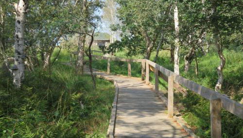 Ferienhaus Wattmöwe - Foto 2