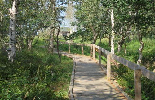 Ferienhaus Wattmöwe - Foto 2