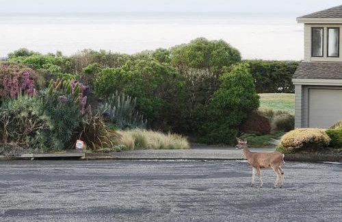 Bodega Bay Sonoma Coast Ocean Views 3 Bedroom Home - Foto 36