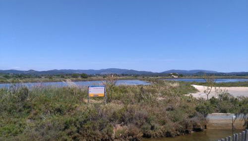 Parc des Salins - Foto 5