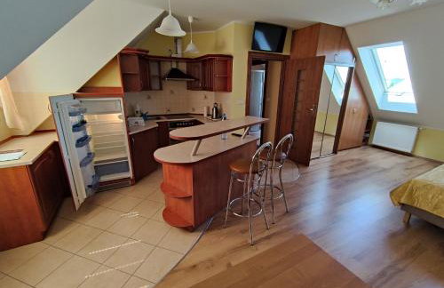 Apartament Pod Lasem - Foto 17