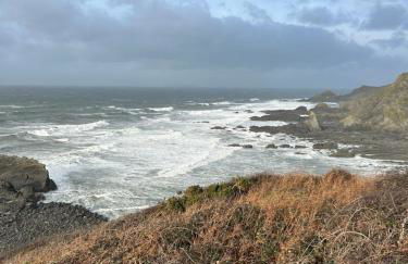 North Devon seaside cottage with log burner - Foto 36