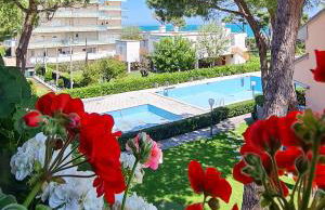 Il Grecale - Piscina e Ombrellone spiaggia prima fila incluso - Foto 17