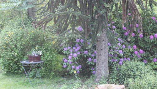 Holiday Home in Stollhamm mit Großem Garten by Interhome - Foto 2