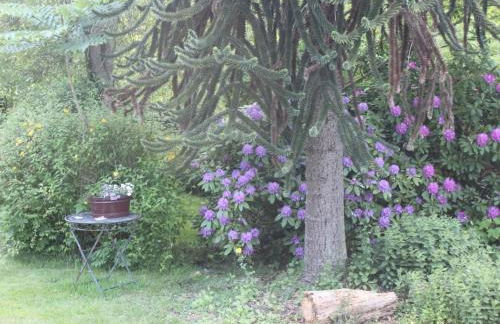 Holiday Home in Stollhamm mit Großem Garten by Interhome - Foto 2