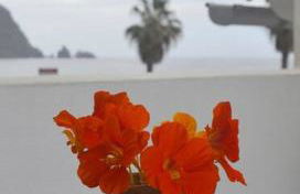 Lazy Lizard Studio - Foto 17