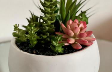 Venice Lucky House - Foto 45