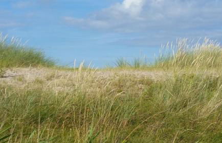 Ferienwohnung Strandgut - Foto 15