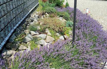 Hortensjowy Zakątek w Pieninach - Foto 35