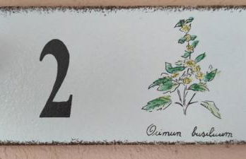 Sa Teria Village - Appartamenti - - Foto 15