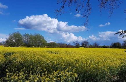 Ferienhof Kruse Wohnung 4 - Foto 13