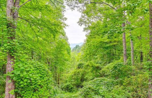 Smoky Mountain Cabin with Fire Pit and Stunning Views! - Foto 27