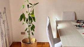 A casa di Filo - Foto 3