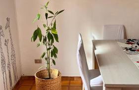 A casa di Filo - Foto 3