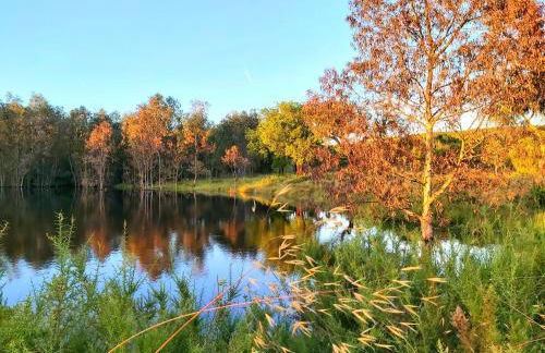 Casas Herdade do Convento da Serra - Foto 13