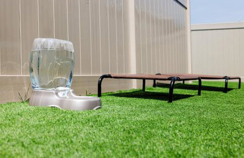 The Cooper Home, Dogs Welcome! - Foto 49