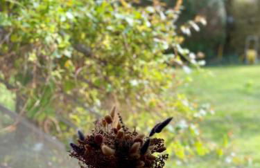 Seine Riverside Getaway Ideal for Families near Paris - Foto 33