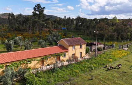 Quinta-lina de serpins - Foto 25