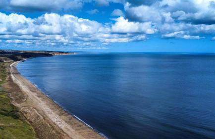 Sooty Beach - Photo 25