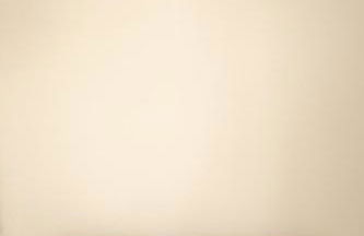 Chalet authentique - Au cœur des Quatre Lacs - Foto 20