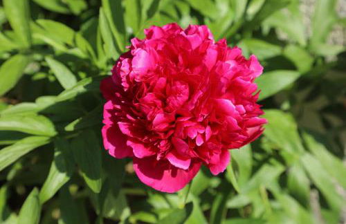 GITE MONTGOLFIÈRE 6 PERSONNES - Foto 35