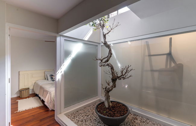 Feel Discovery P&P House Douro Valley - Foto 26