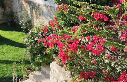 Llum d'Illa - Villa with spectacular sea views - Foto 16