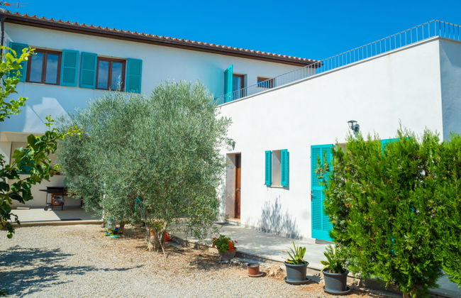 Son Vivot - Photo 68