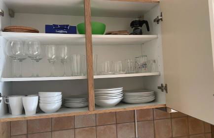 Igelnest im Küstenwald Graal-Müritz - Foto 7