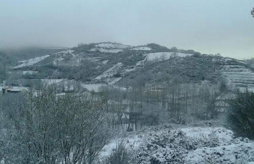 Quinta das Colmeias - Foto 29