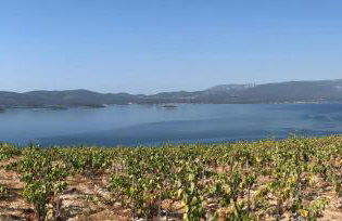 Fig Tree Apartment - Foto 36