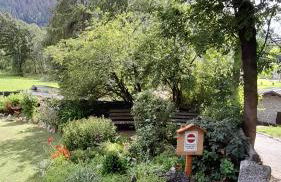 Soggiorno Vacanze Stella Alpina - Foto 50