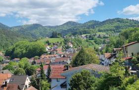 Ferienwohnungen Bühlertal - Foto 52