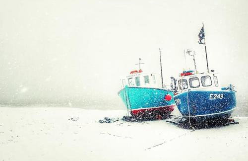 Escape Pod in Devon, 5 mins from beach + parking - Foto 65