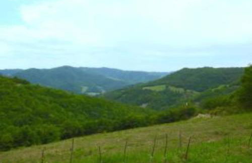 Beautiful Villa in Belforte All'isauro With Swimming Pool - Foto 60