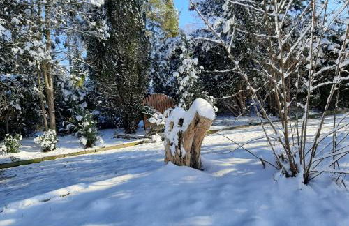 Zum Storchennest - Foto 17