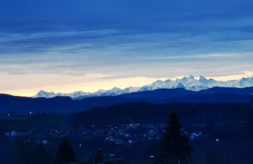 Alpenpanorama Hägelberg - Foto 14