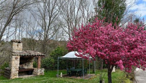 Finca Paraíso Rural - Foto 5