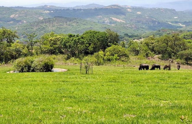 AtNature Luxury Self Catering Cottages - Photo 69