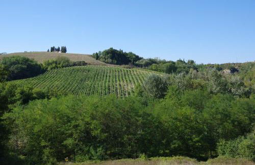 Il Gufo del Chianti - Foto 36