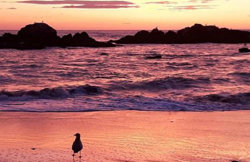 Beach House - Between Porto and Viana do Castelo - Foto 41