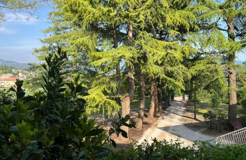 Secret Garden Egle - Foto 29