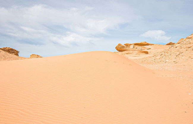 Excursion to the Fayoum Oasis - Photo 1