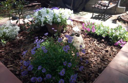 Tiny House - Foto 31