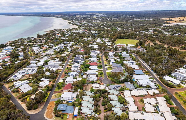 Bird's Nest - Foto 21