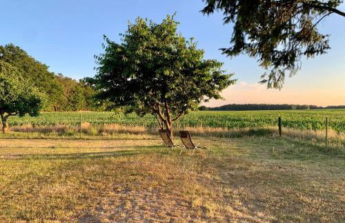 Idyllisches Ferienhaus in ruhiger Lage - Foto 21