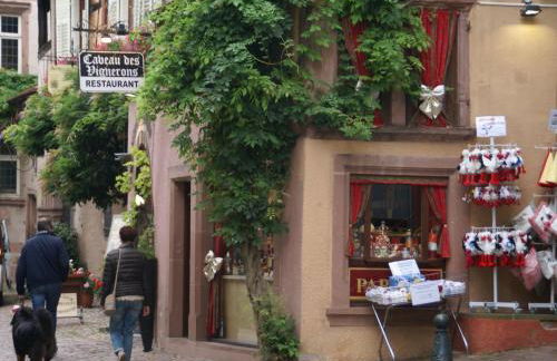 Apartment in Riquewihr near Vineyards - Foto 34