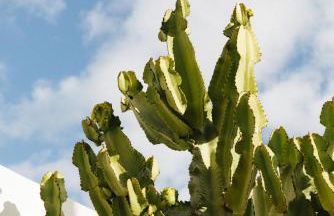 Casa Jable Nueva - Foto 41